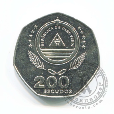 200417533_2