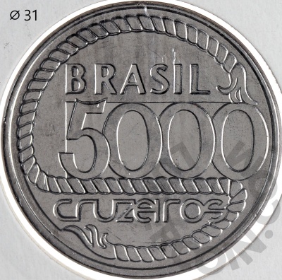 00043355_2